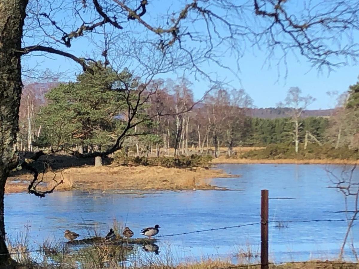 Tanar View Lejlighed Aboyne Eksteriør billede
