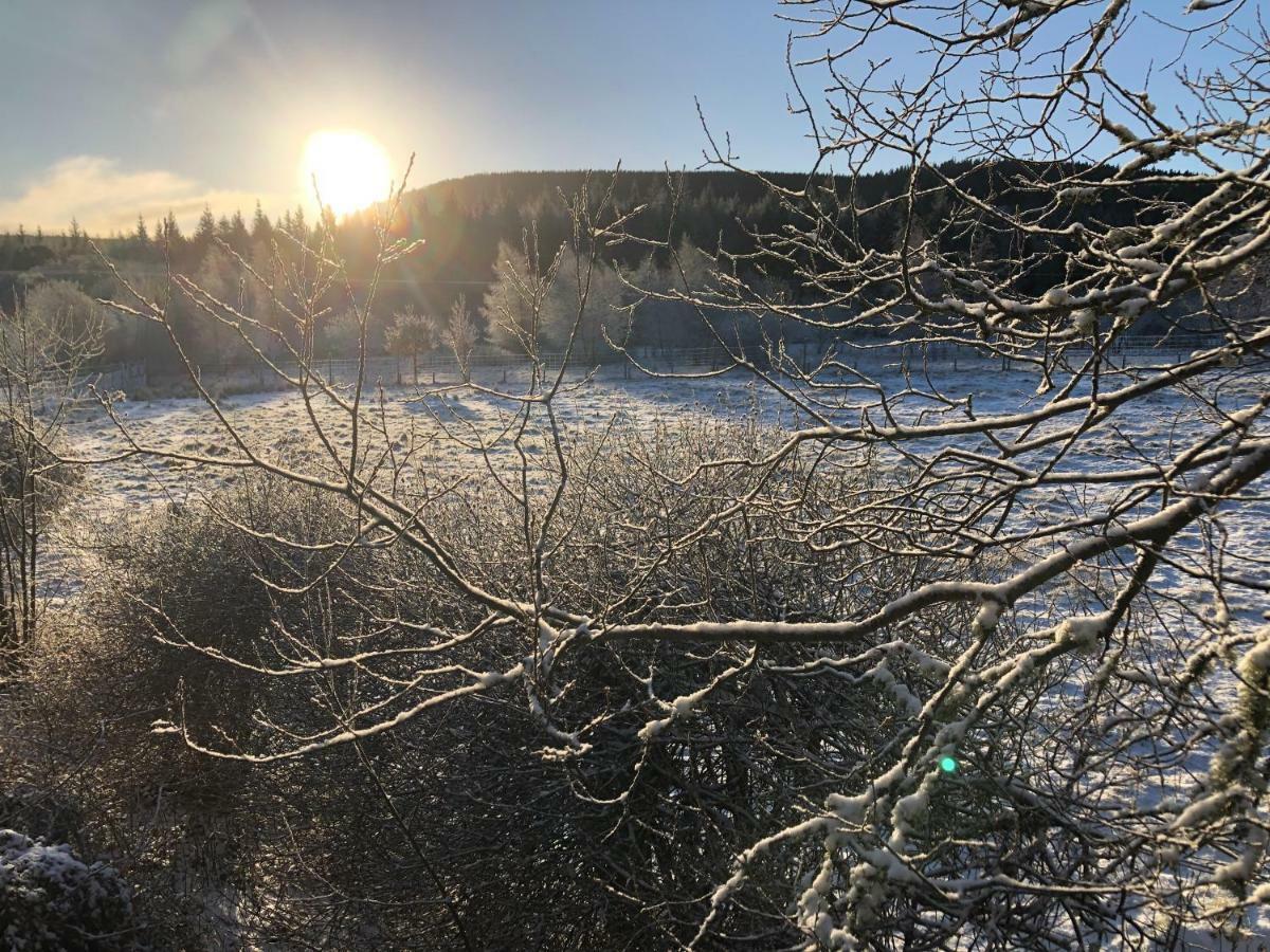 Tanar View Lejlighed Aboyne Eksteriør billede